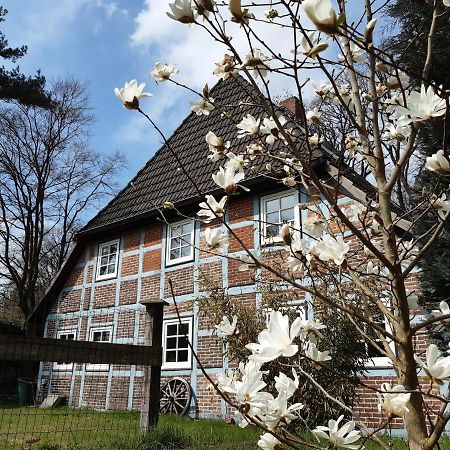 Schoenes Apartment Vor Den Toren Hamburgs - Keine Monteurwohnung Asendorf Eksteriør billede