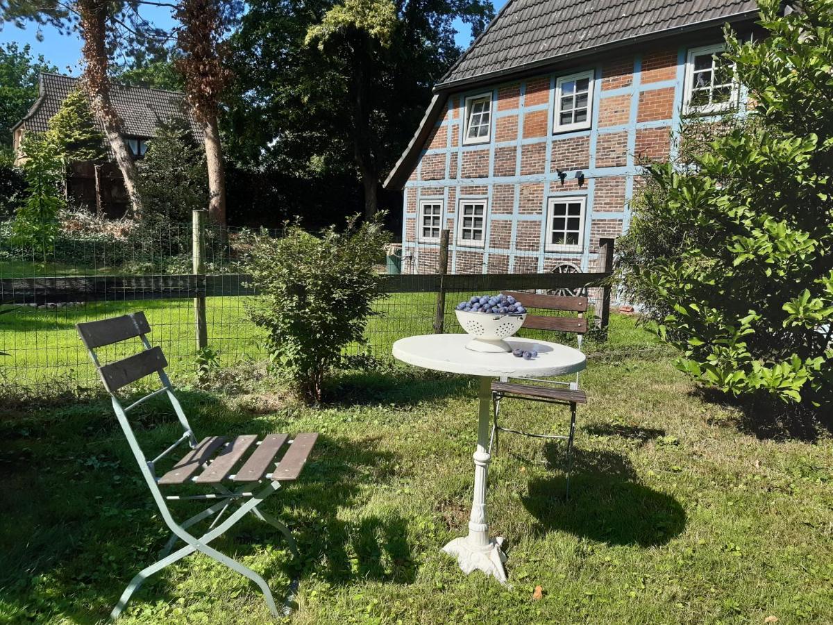 Schoenes Apartment Vor Den Toren Hamburgs - Keine Monteurwohnung Asendorf Eksteriør billede